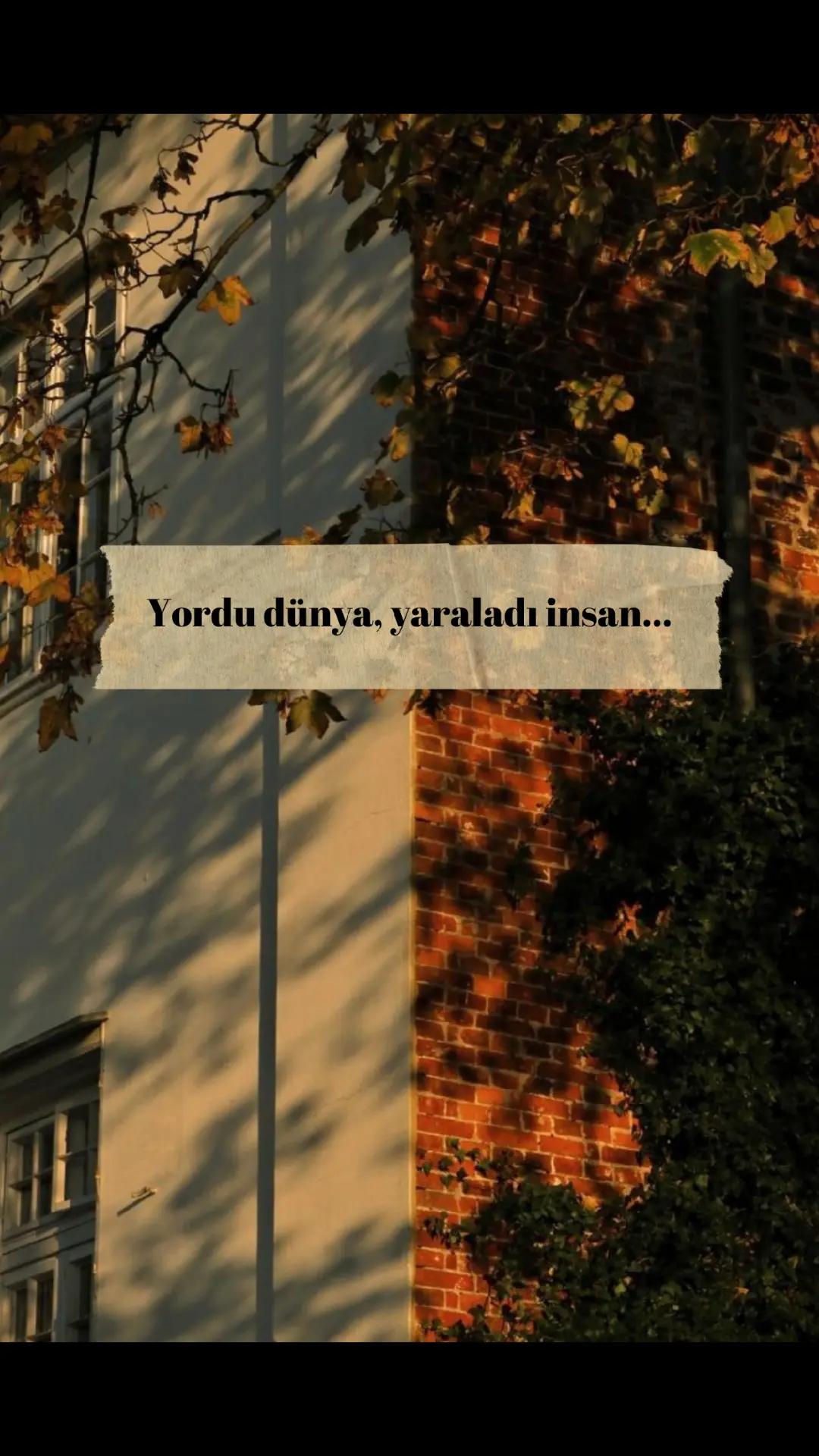 @Tuğba D.