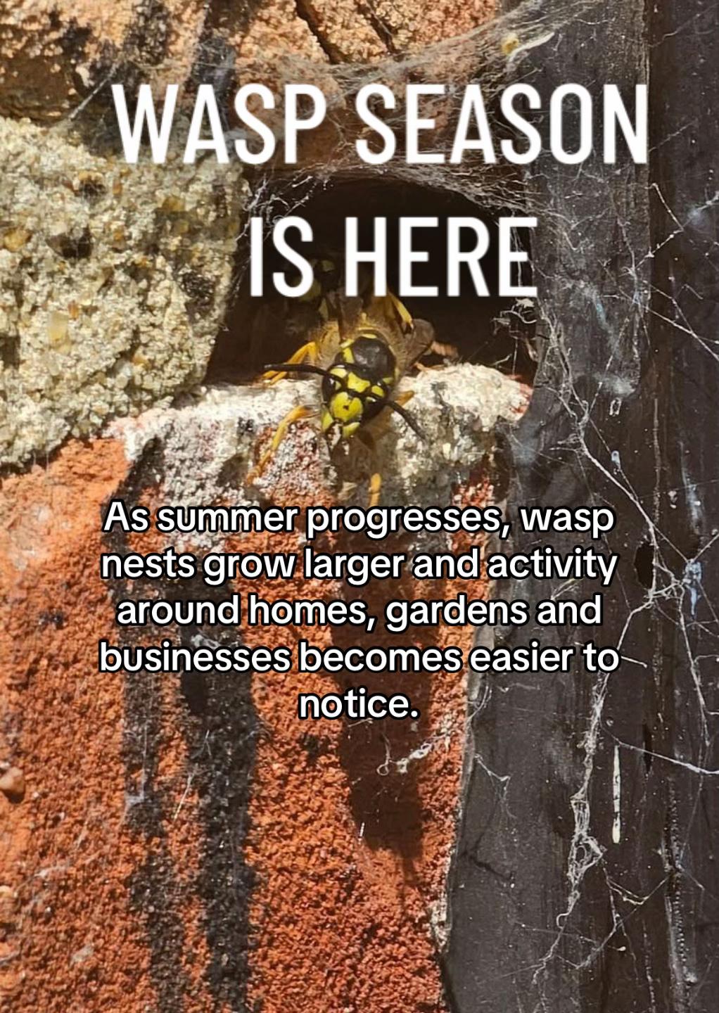 @Imperium Pest Control