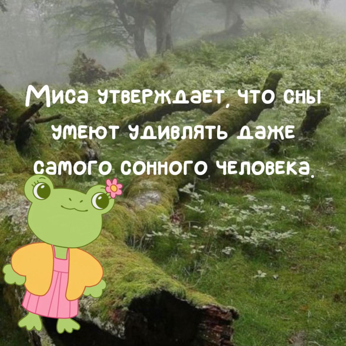 @дрёмики ✨