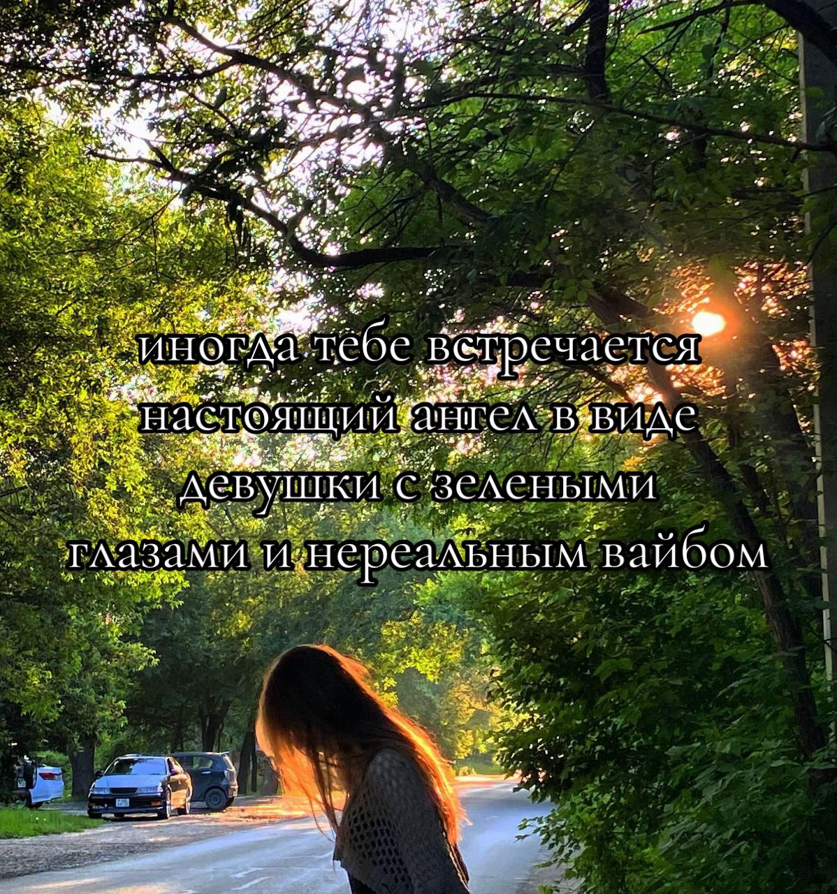 @nikakotiki