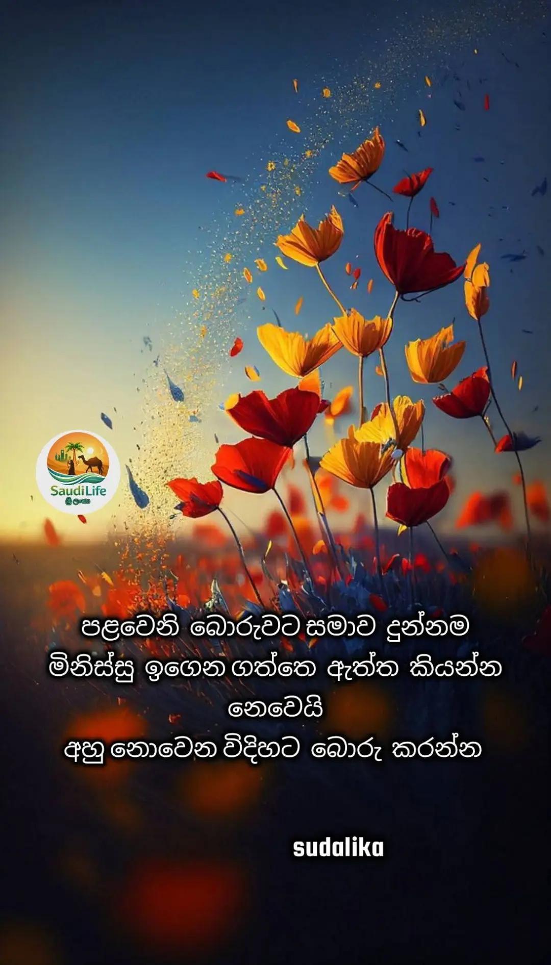 @ස_චී___
