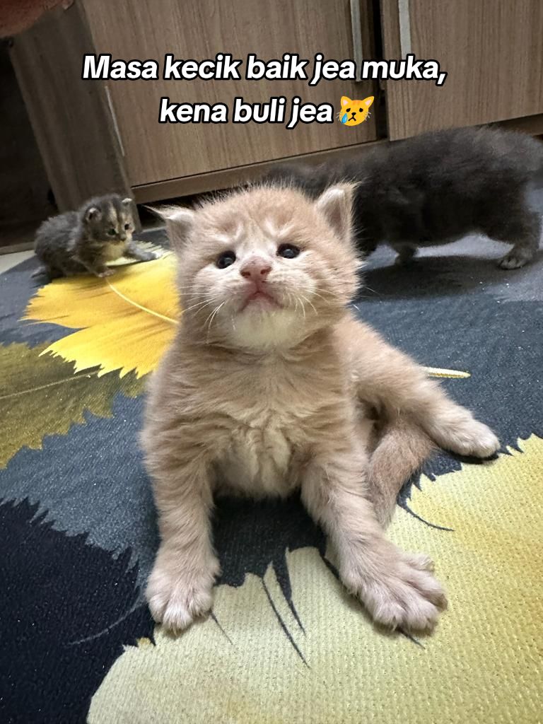 @_Ka.C.oN•