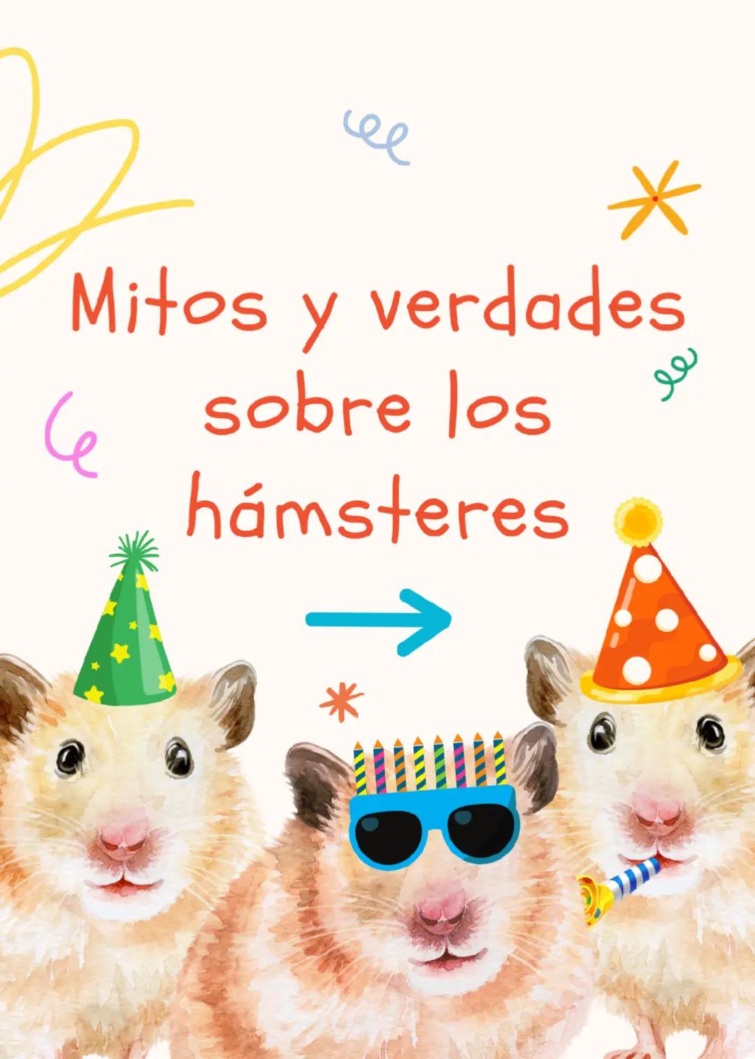 @Diariodeunhamster❤️🐹