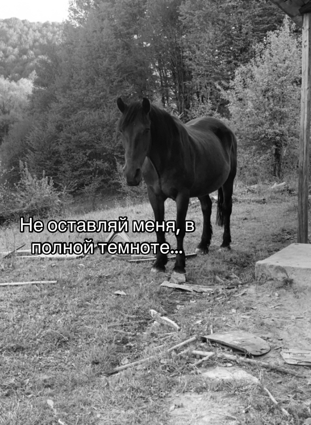 @тгк-Manix_zh