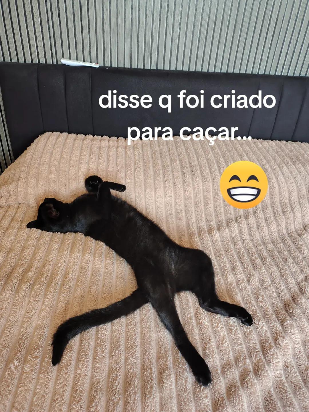 @talrecofka