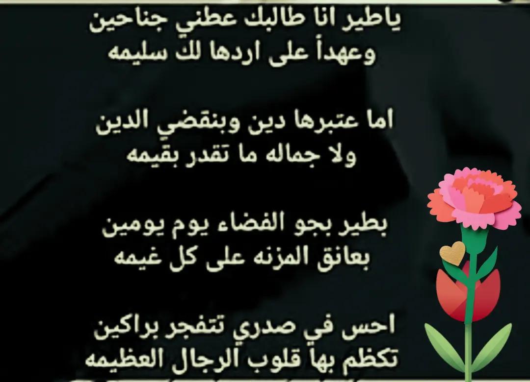 @🦜ابو محمد🦜 السهيمي 🦜