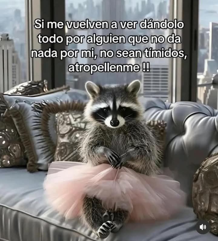 @Leticia rey