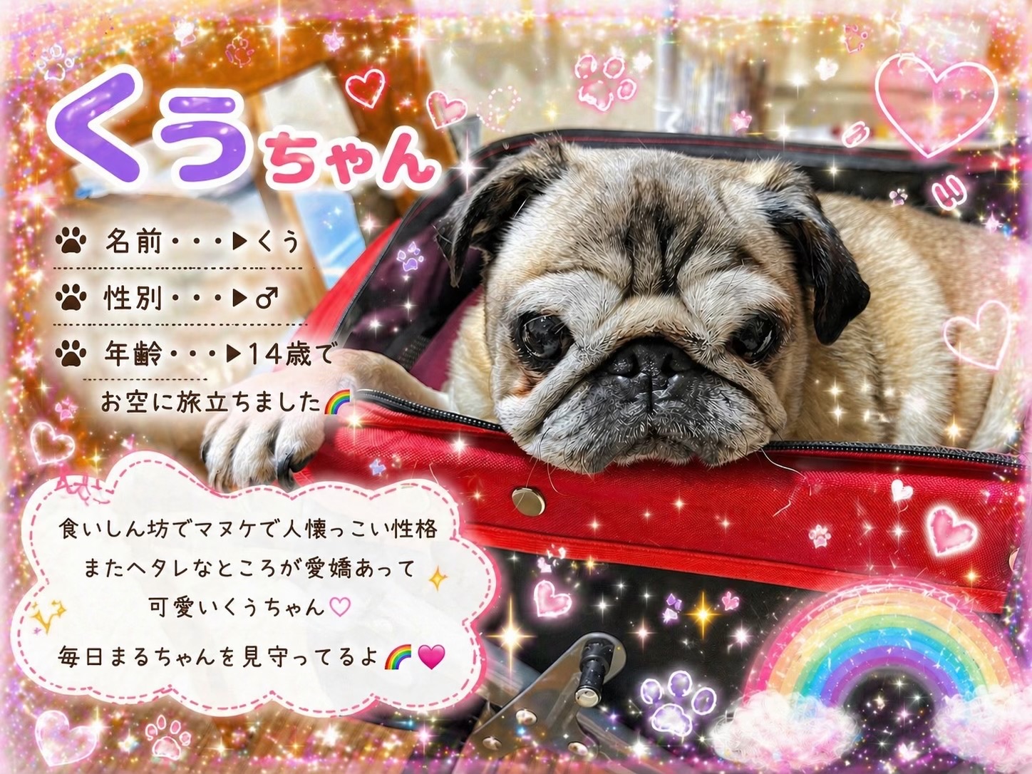 @Yuka🐈&zwj;⬛🩶