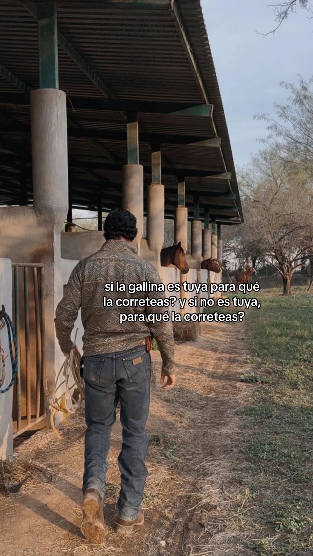 @klev.mx