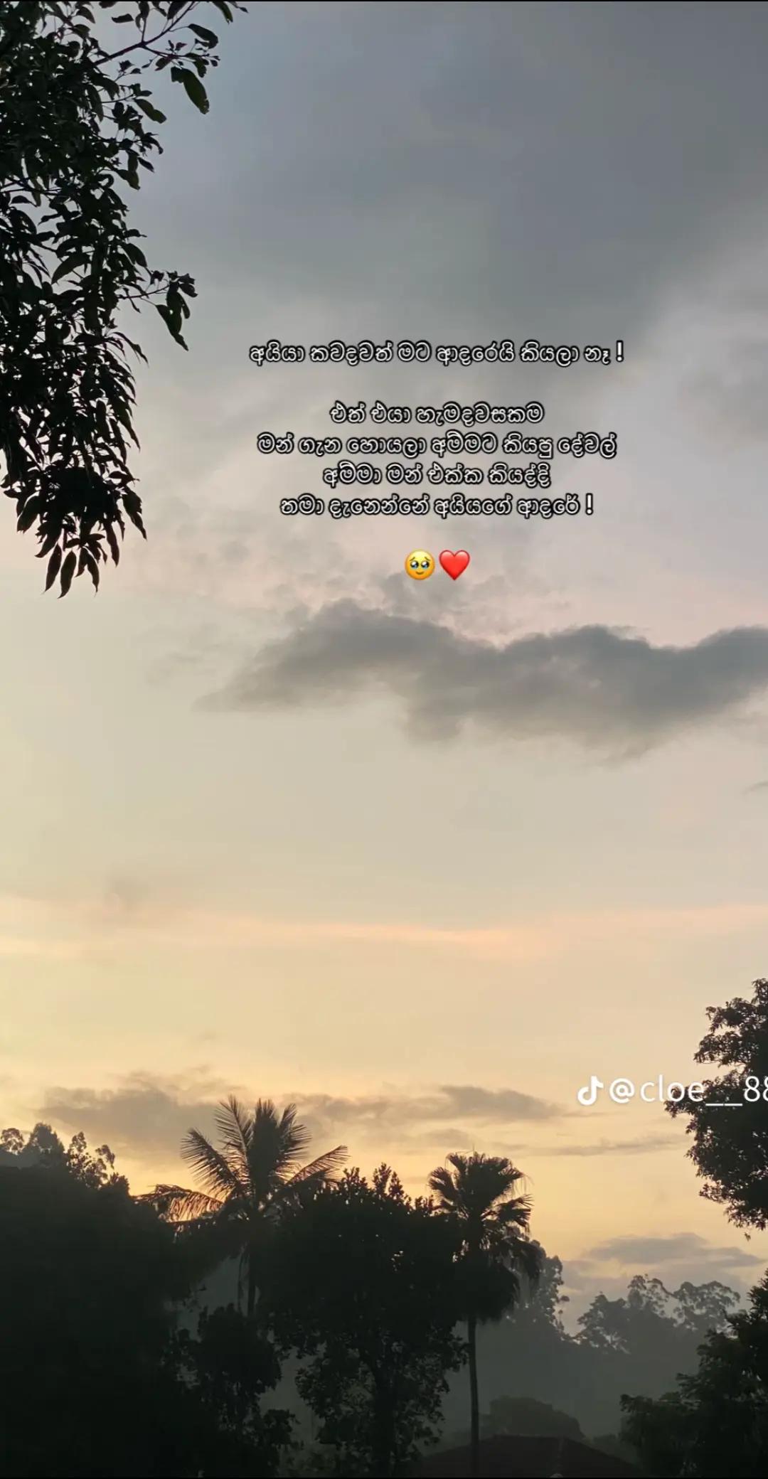 @sanjana 2003