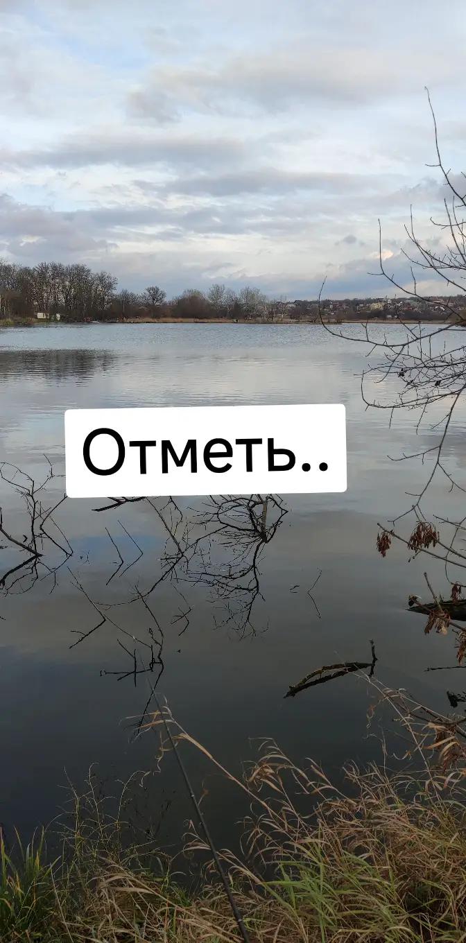@Серега