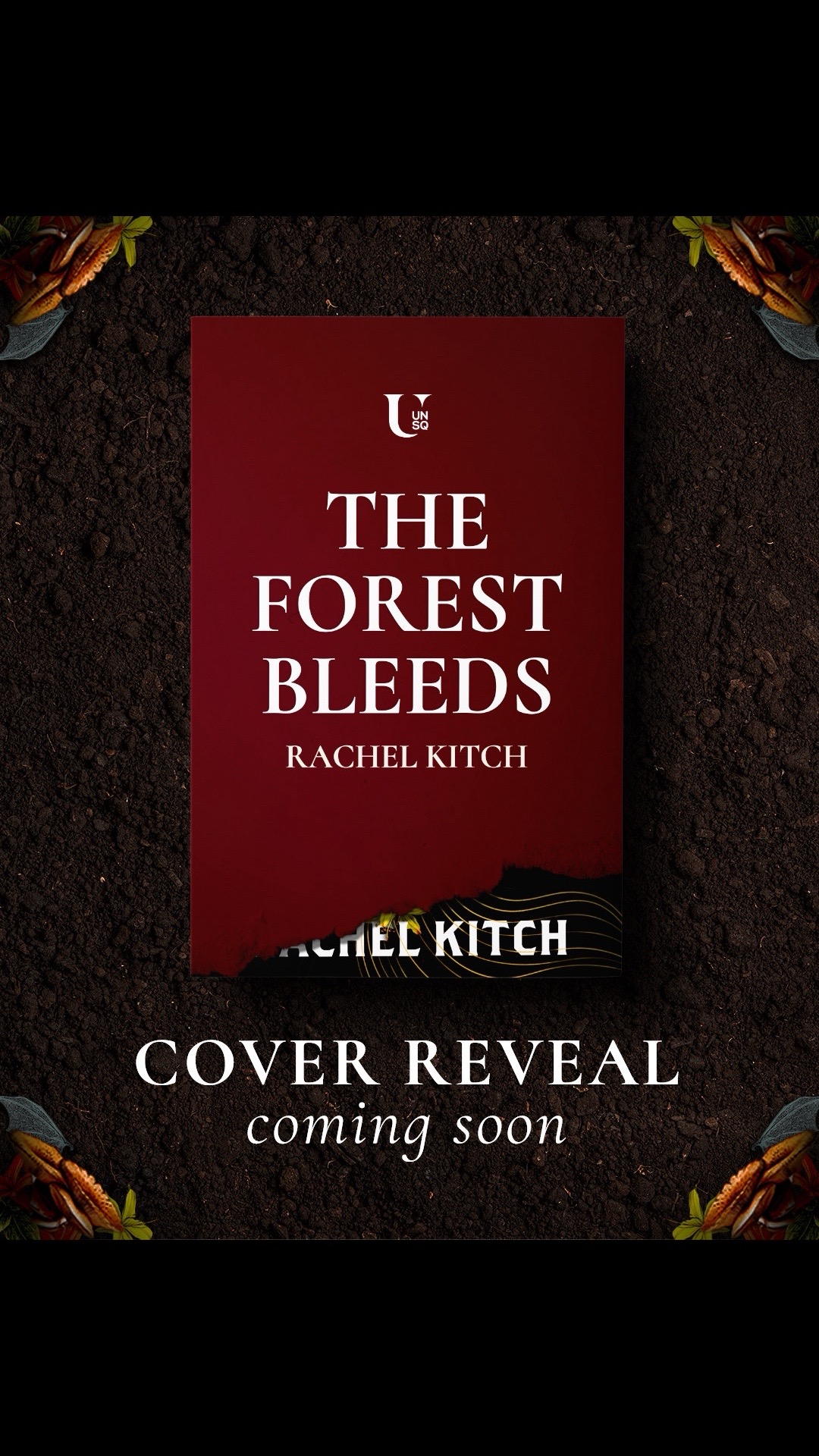 @Rachel Kitch - Horror Author