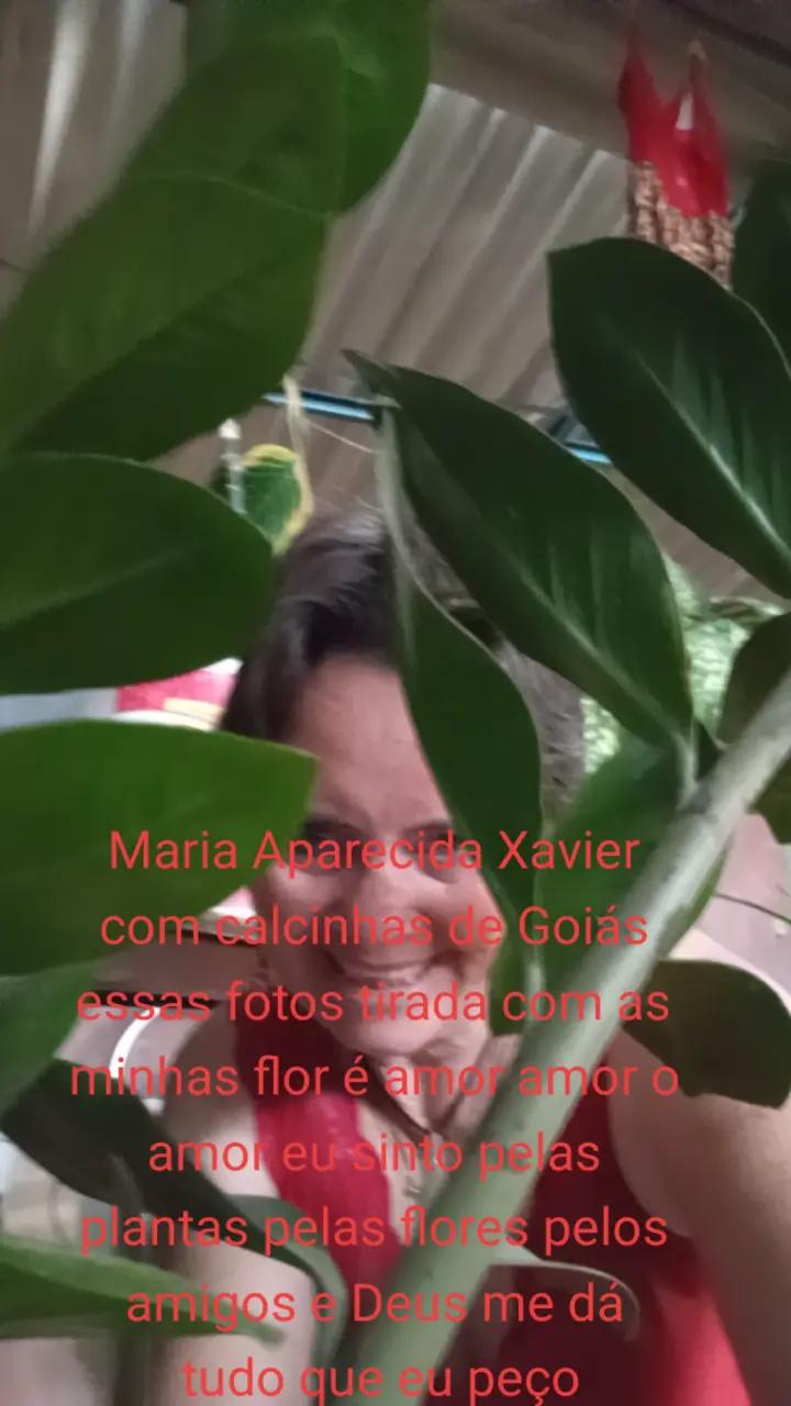 @Maria Aparecida X368