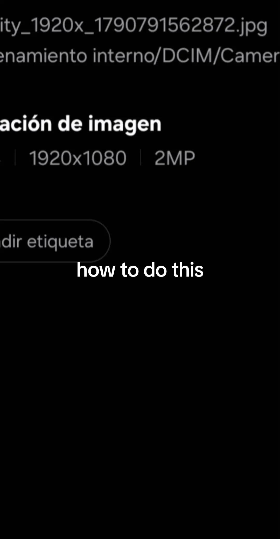 @Paulo Palma