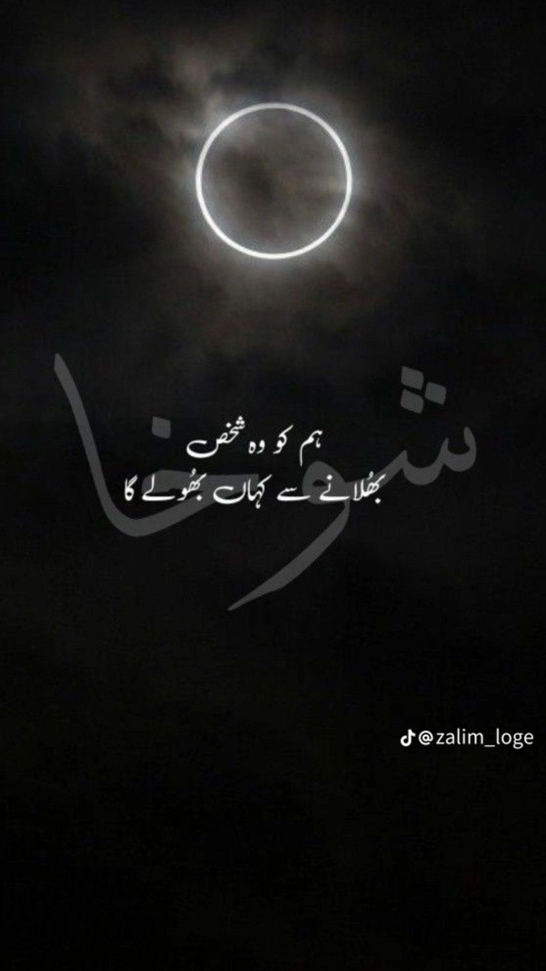 @SAJIDALi Dilwala