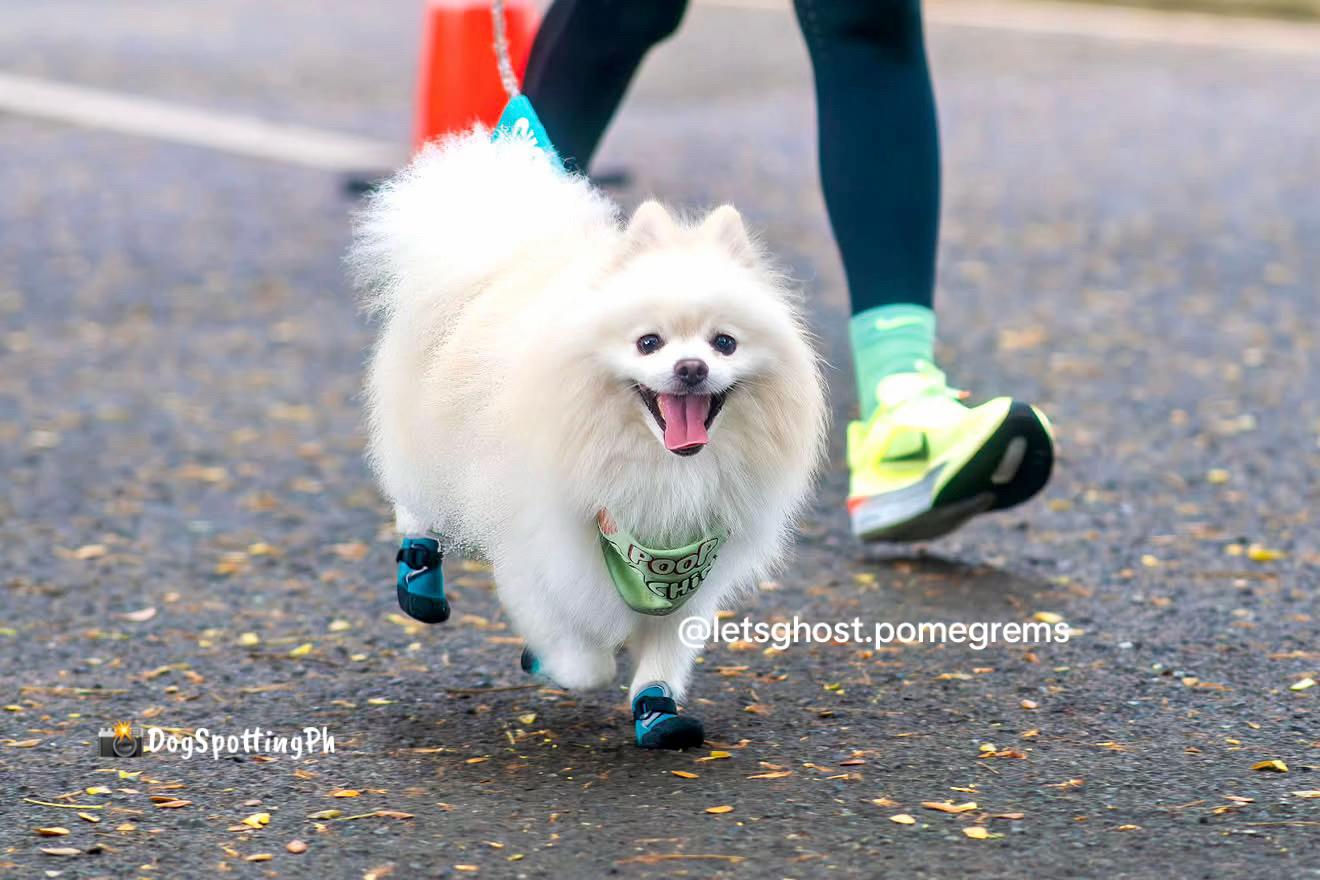 @G H O S T TheRunnerPom