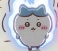 @tofu