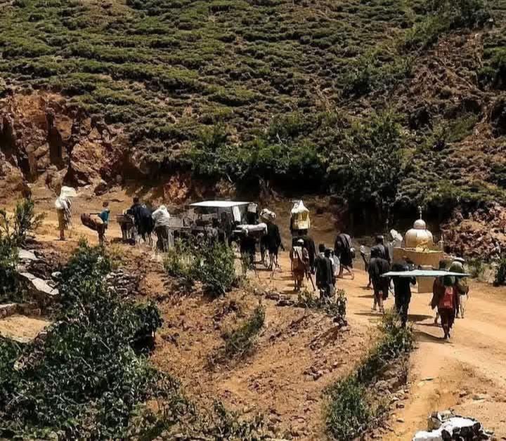 @ዜማ ዘተዋህዶ