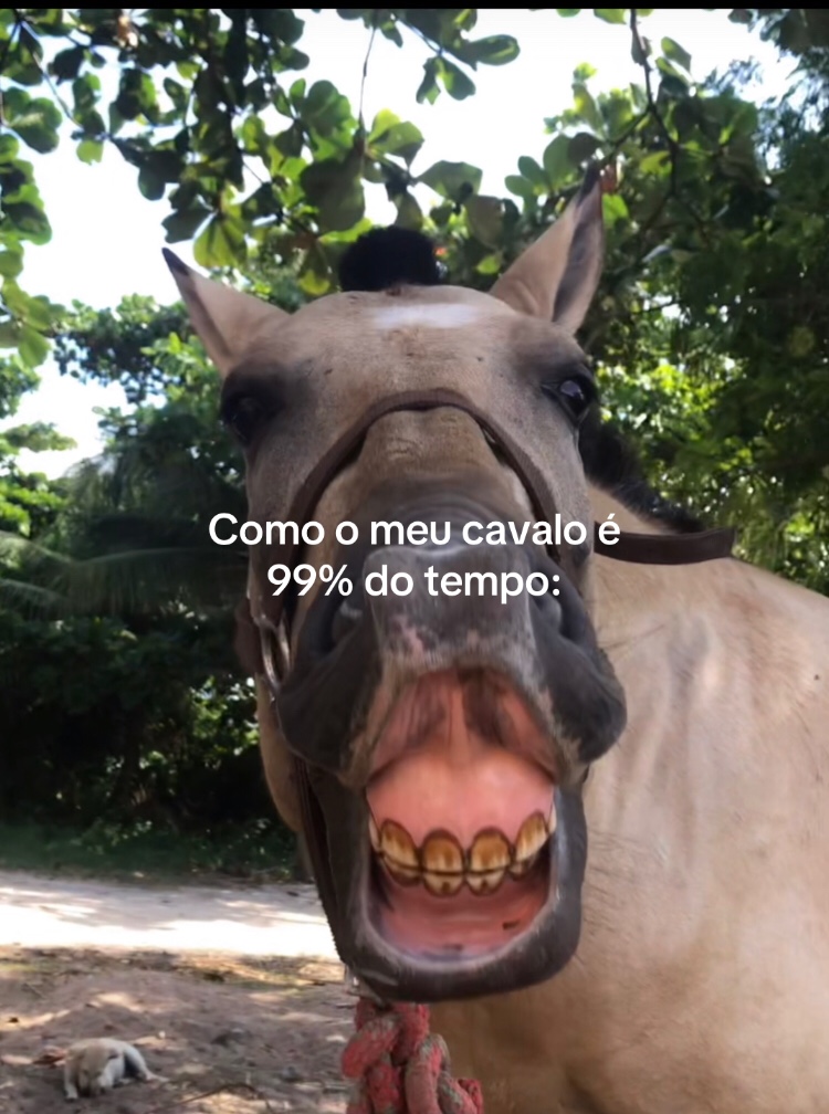 @Pᥱ́r᥆ᥣᥲ ᥱ ᥴᥲριtᥲ̃᥆