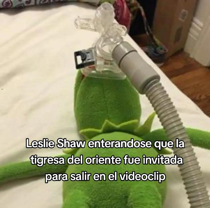 @𝑱𝒂𝒔𝒔𝒆𝒄𝒊𝒕𝒂 ⚖️
