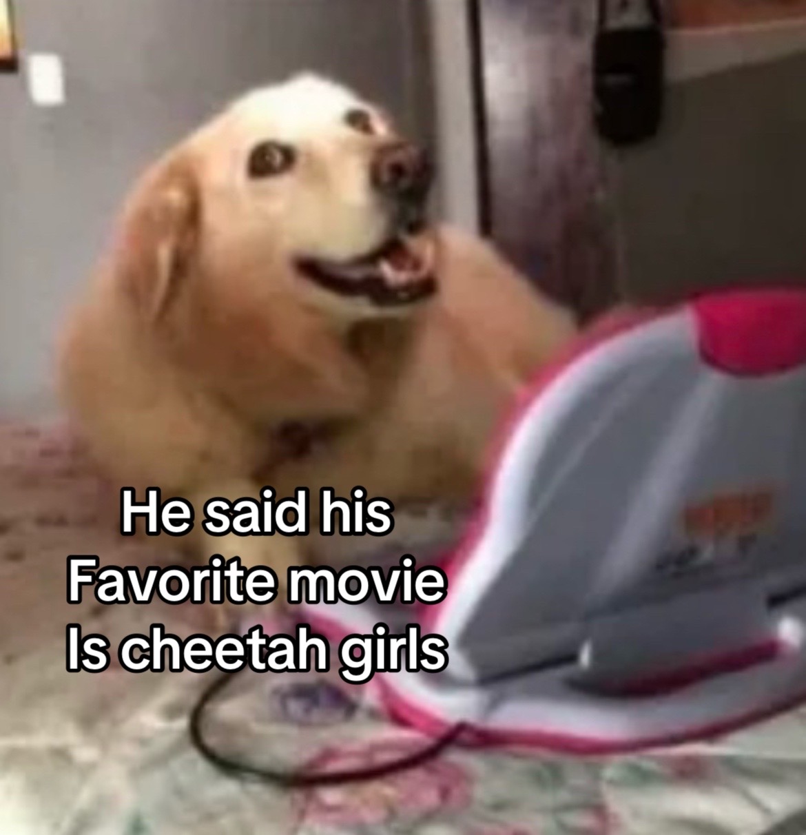 @Lili