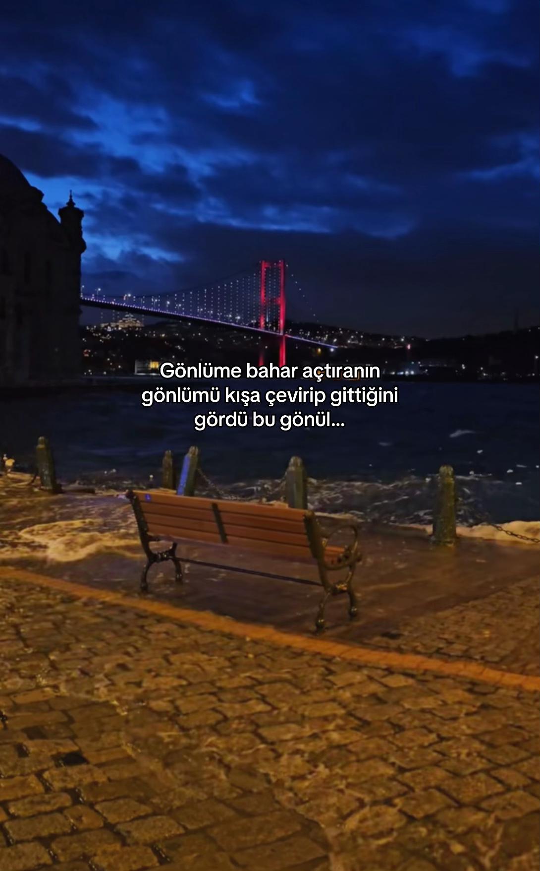 @seviyorgibiydin24
