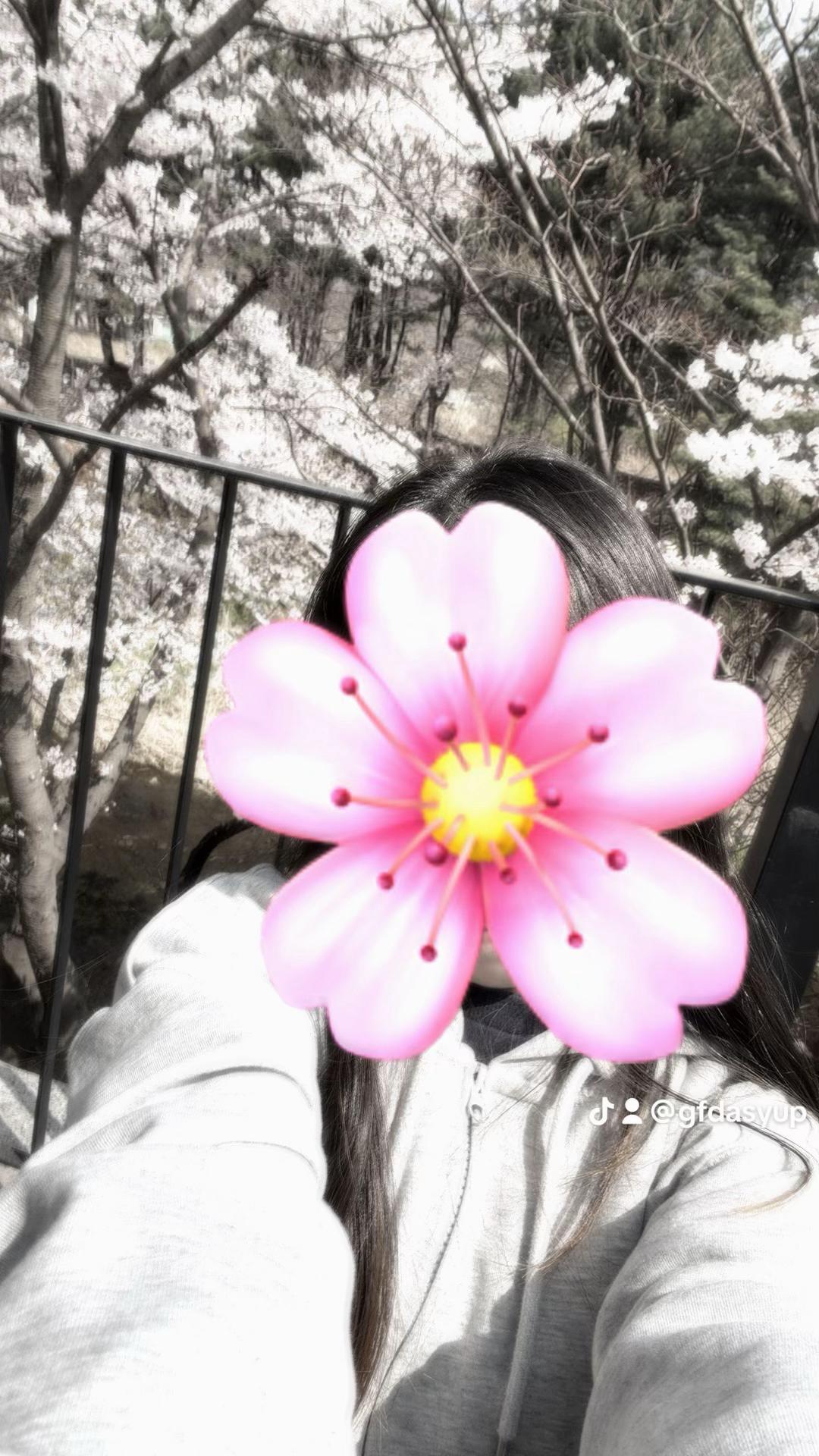 @๋ฝ์ธ๋ฐ์๐พ๐ฉถ