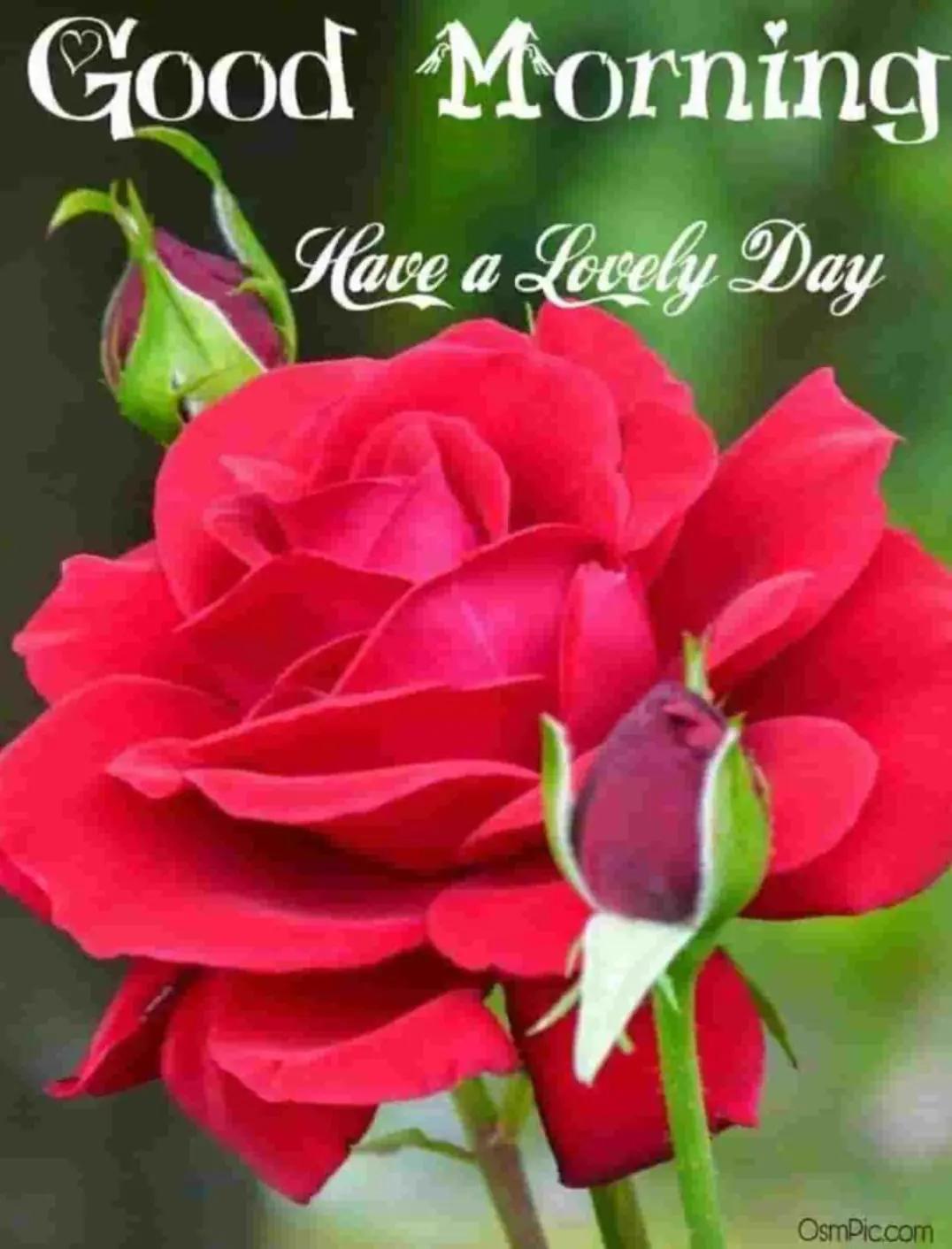 @Anbalagan Anbu