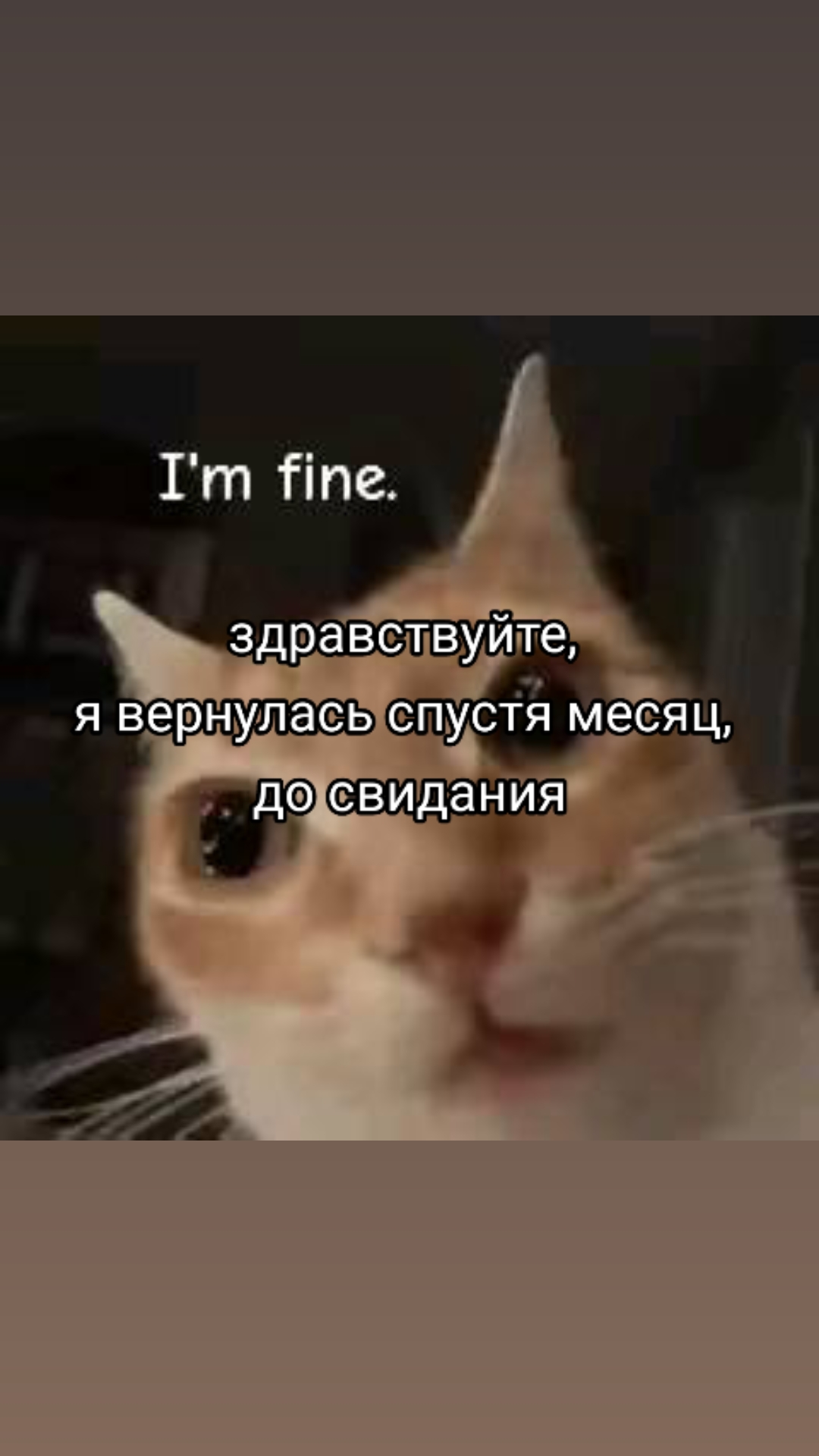 @|||Трев∆жность[Бешенство🆘]