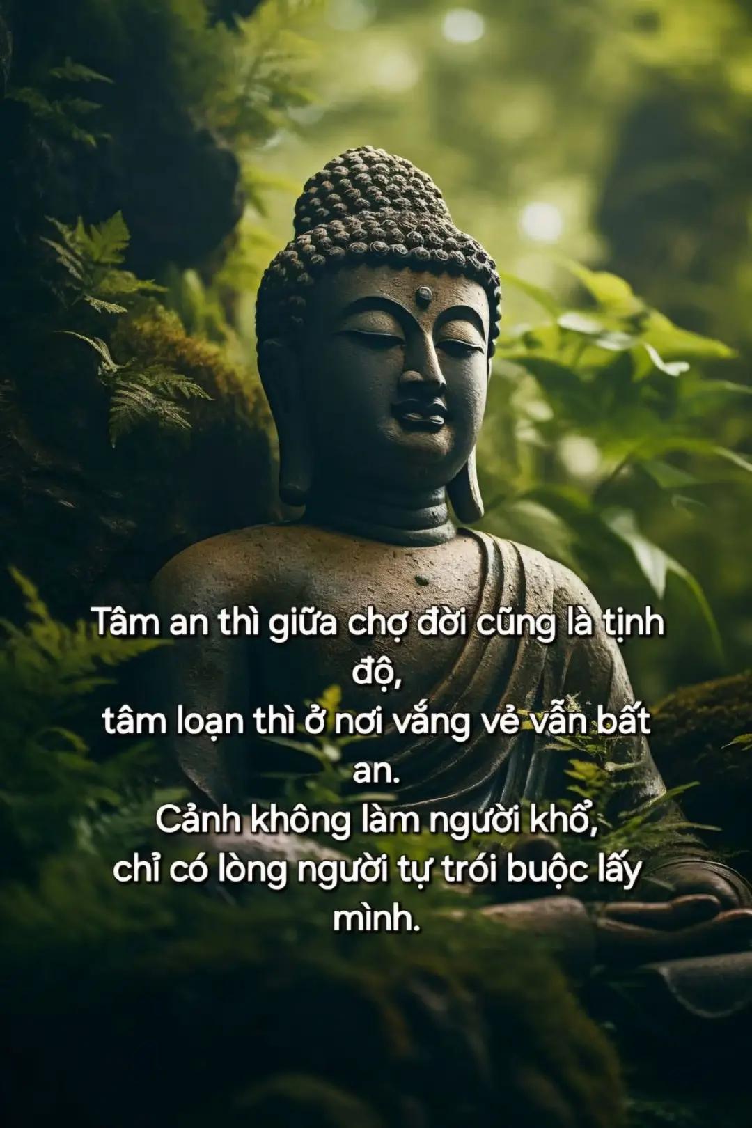 @Mỹ Phẩm Mới 68