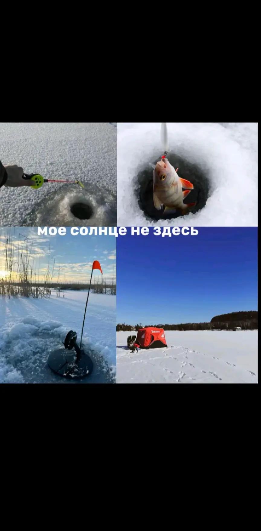 @дима