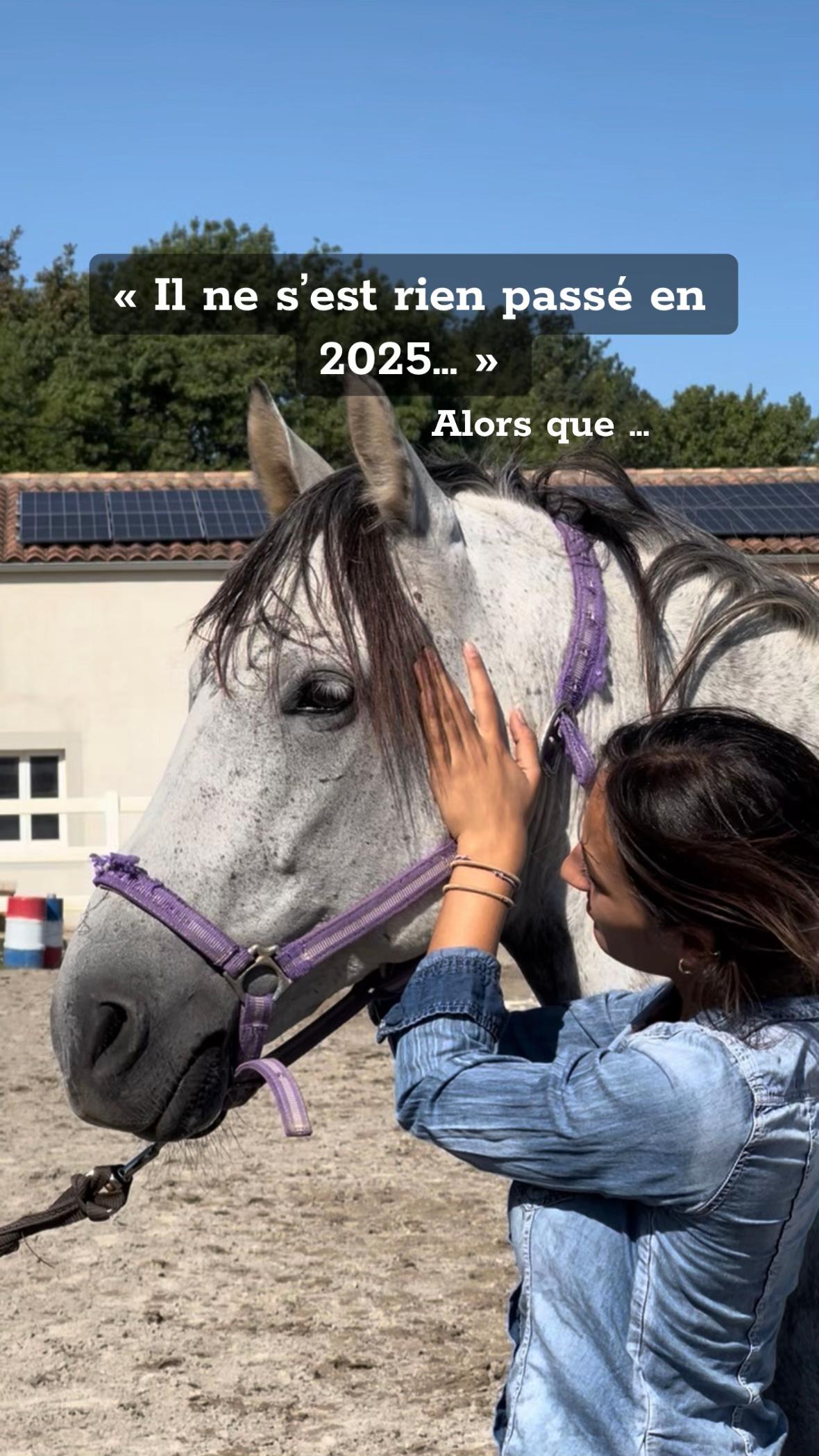 @Hannah&ensp;ost&eacute;opathie&ensp;animale&ensp;🐎