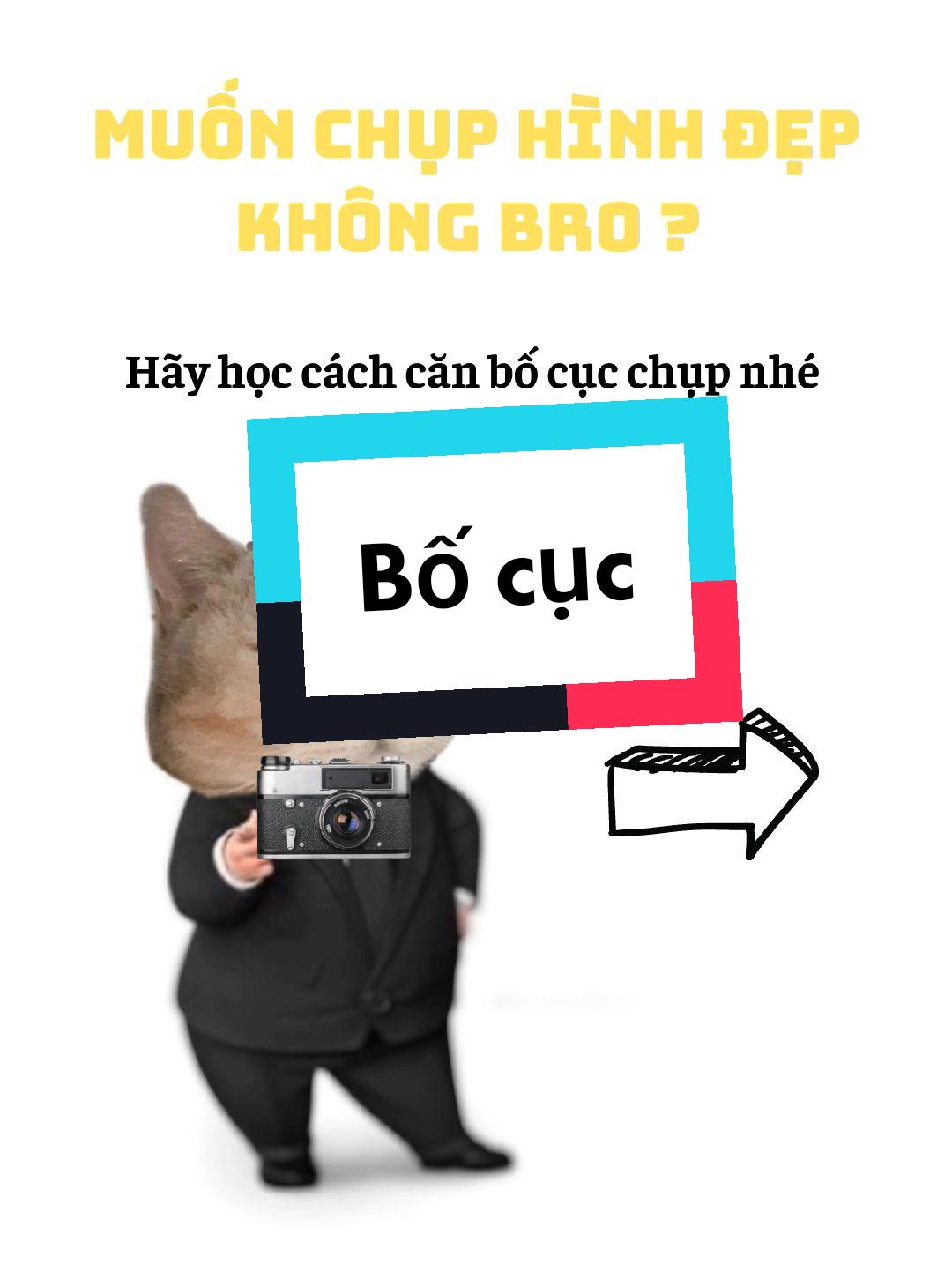 @Thắng M&aacute;y Ảnh Photography  📷