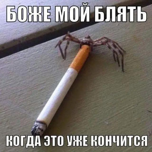 @бобер