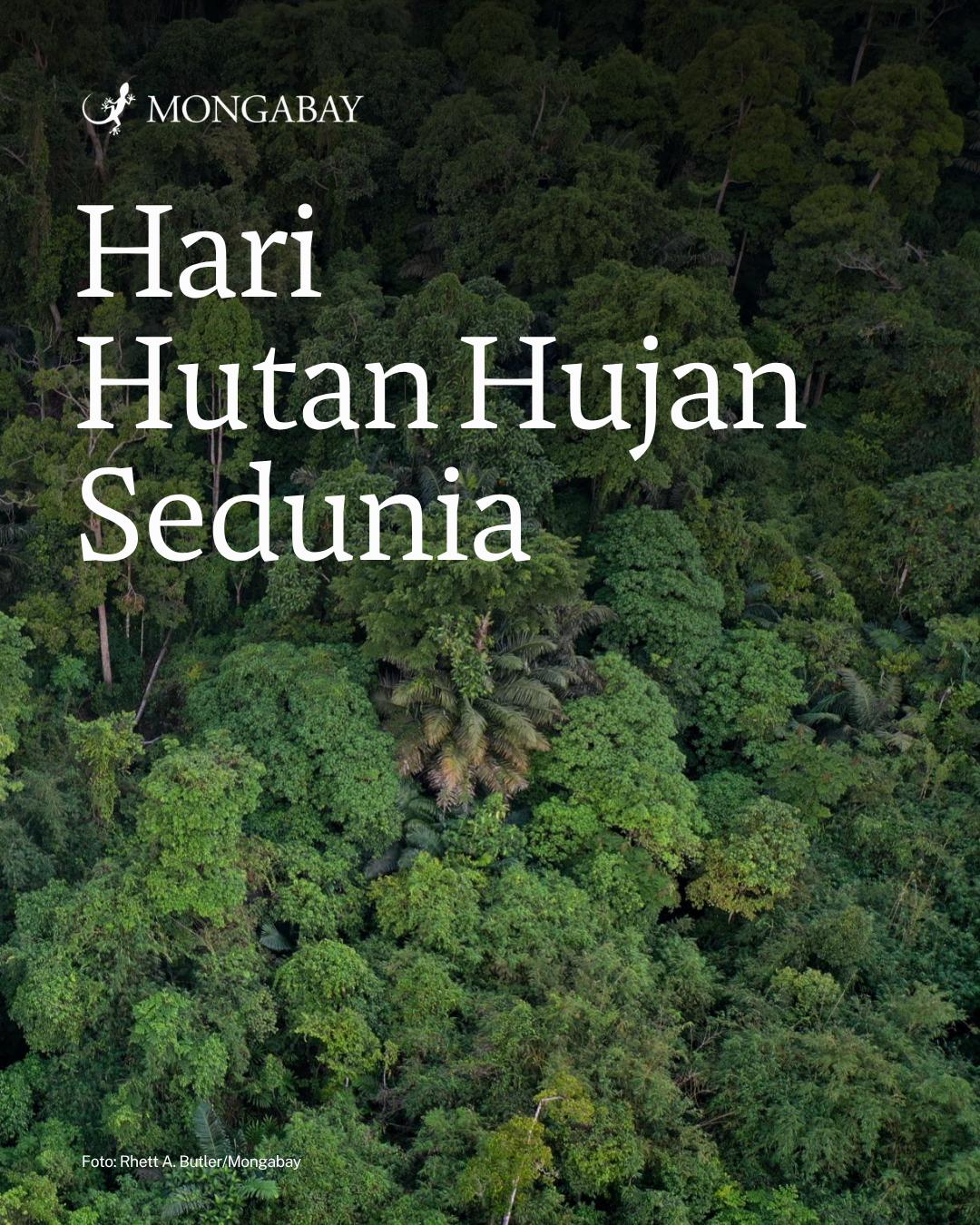 @mongabayindonesia