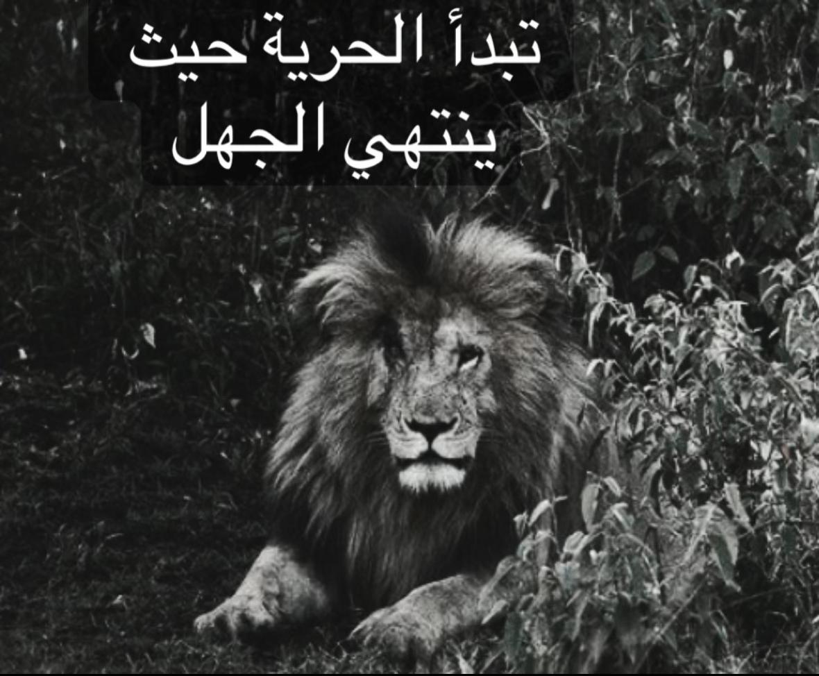@🦁 scarface 🦁