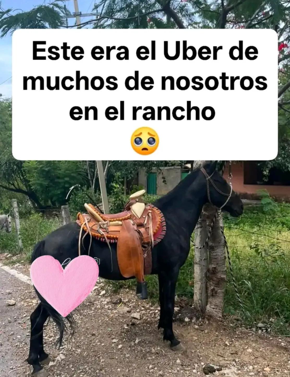 @Alex Rangel