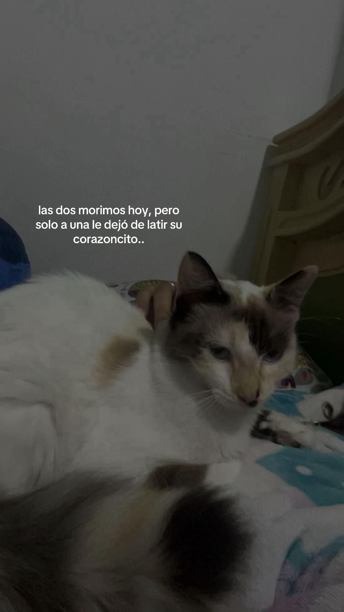 @Alejandra