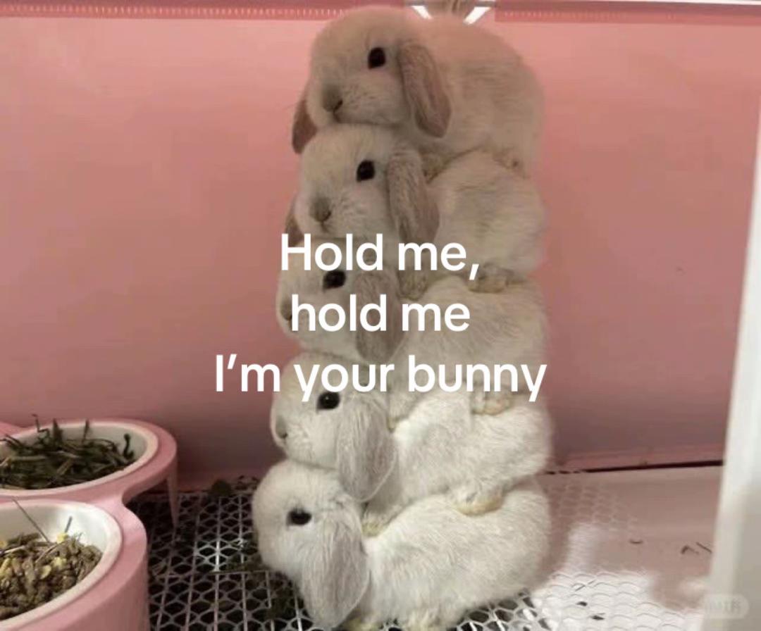 @Bella swanzzz🧁🦌🩰