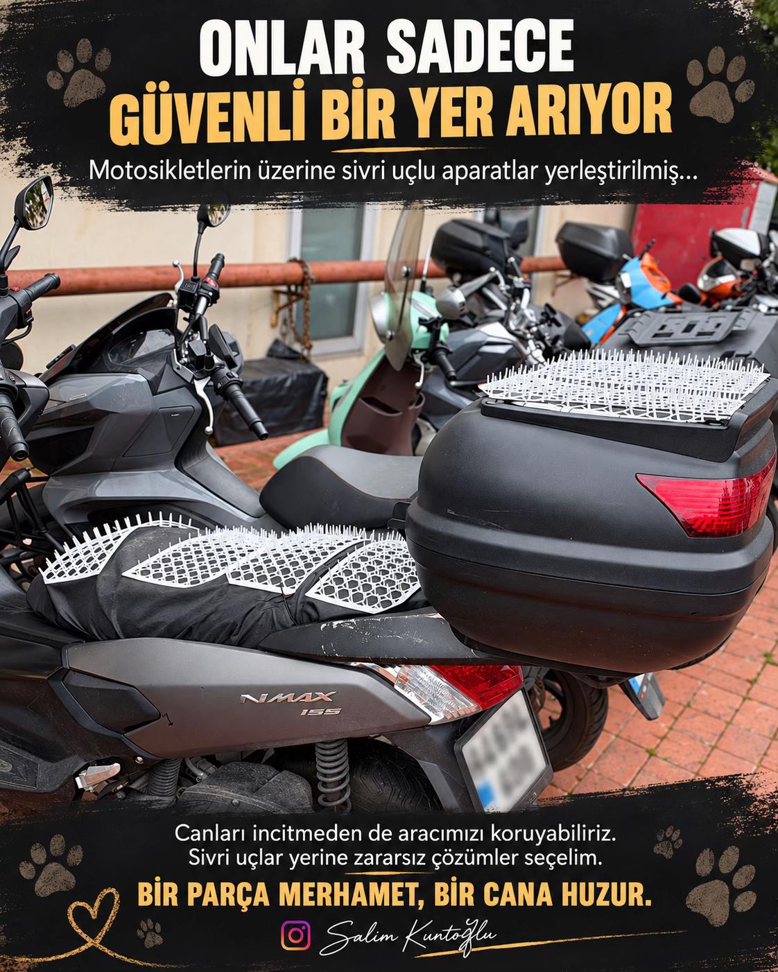 @Salim Kuntoğlu