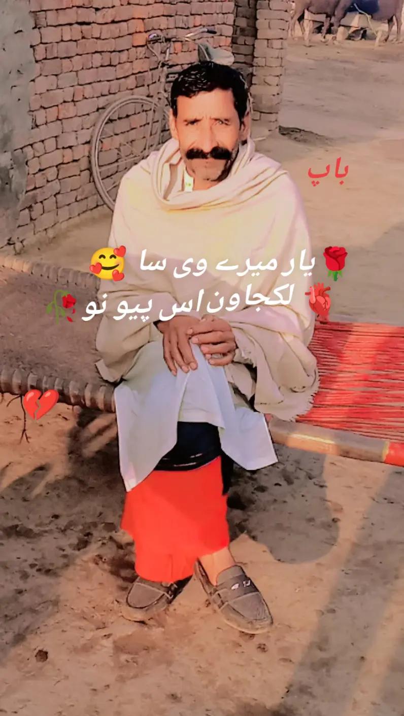 @qalab Abbas 736