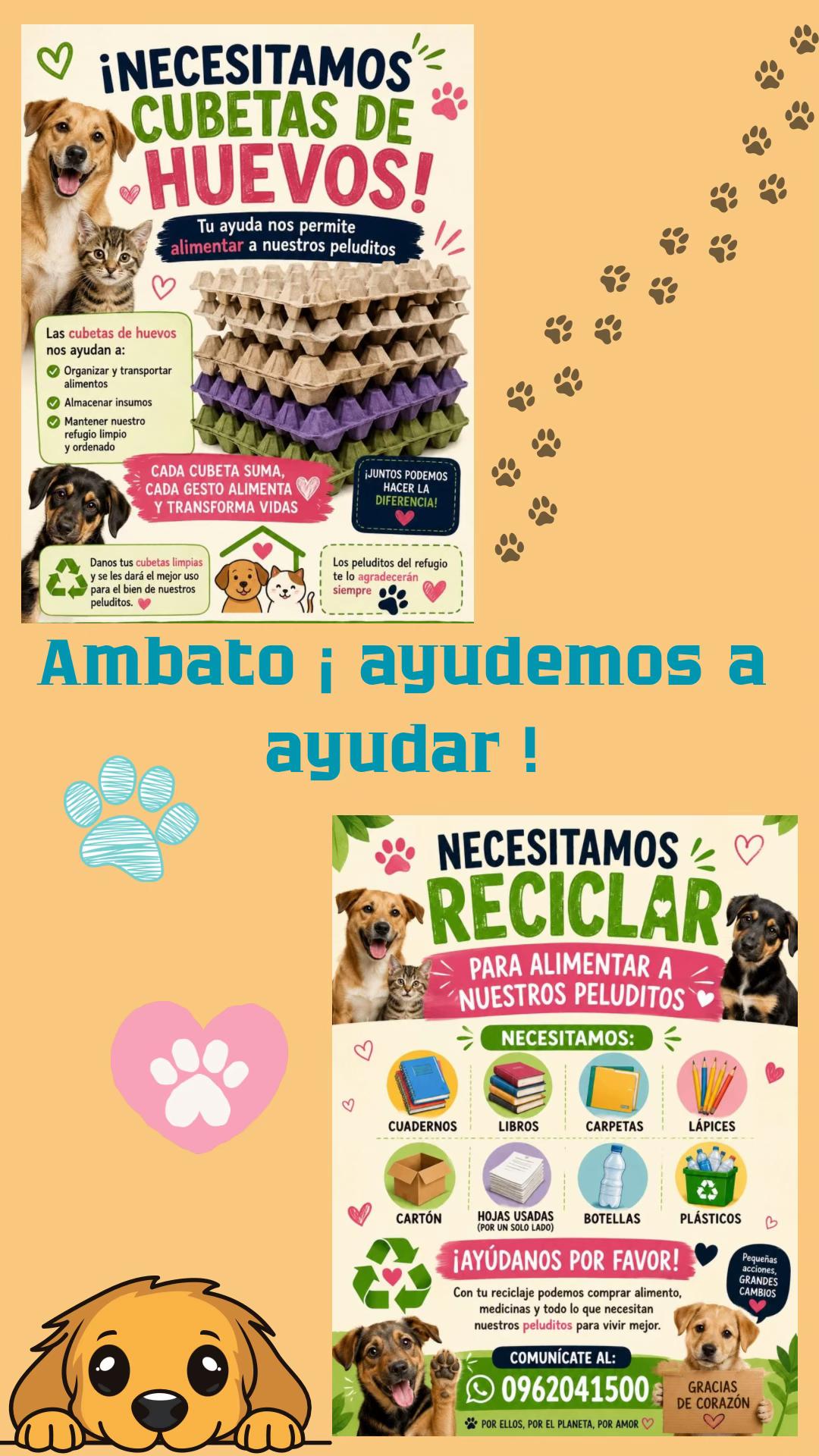 @Amigoscaninos_Ambato