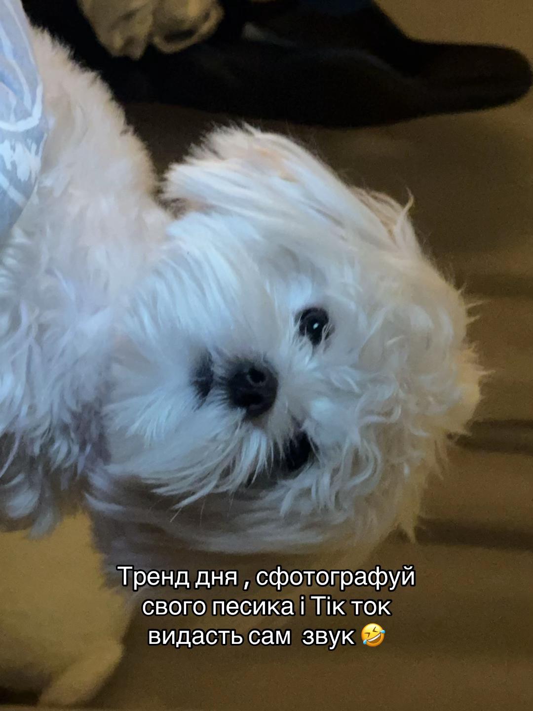 @ta_sww
