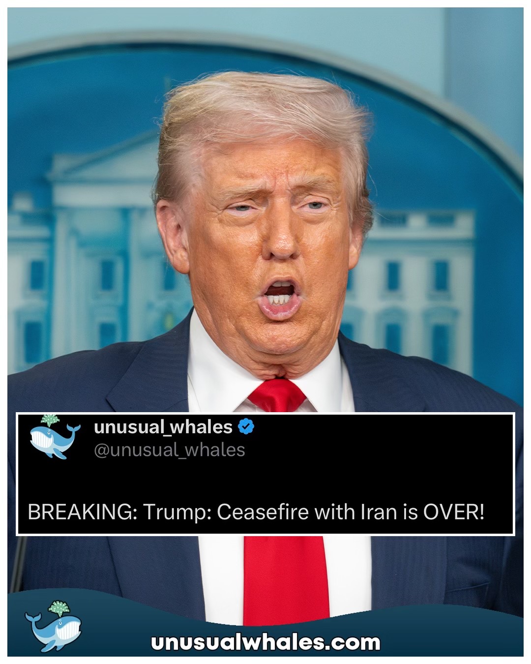 @Unusual Whales