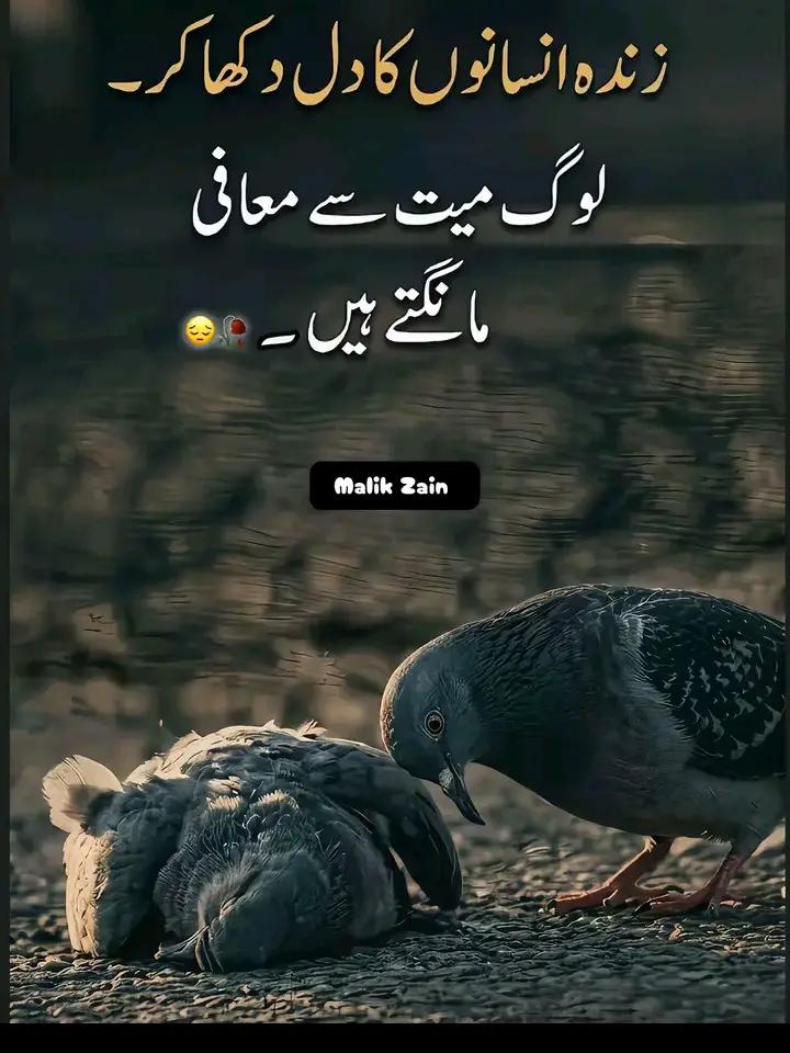 @🇵🇰Ramzan sardar🤘💖🤘💖