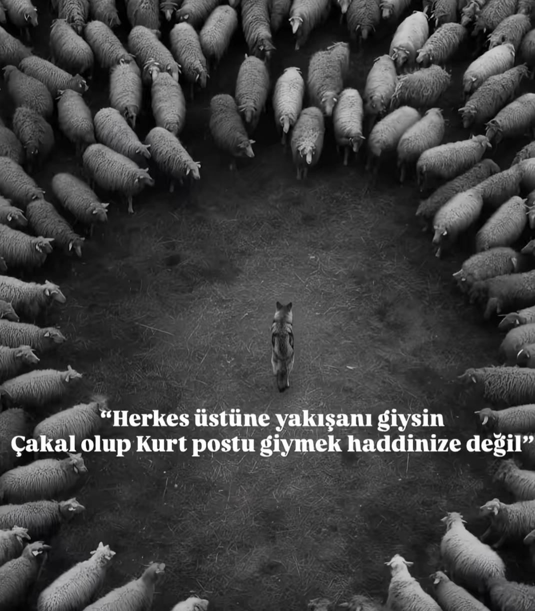 @Ozi Gürhan