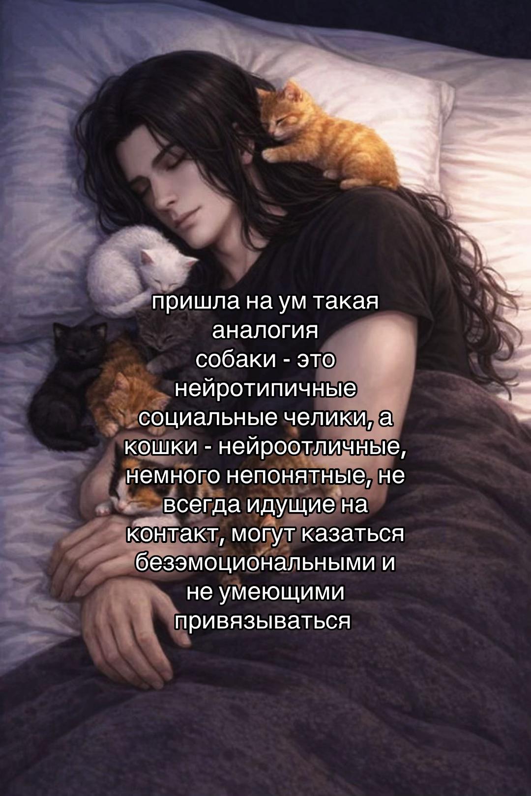 @Прист амбассадор