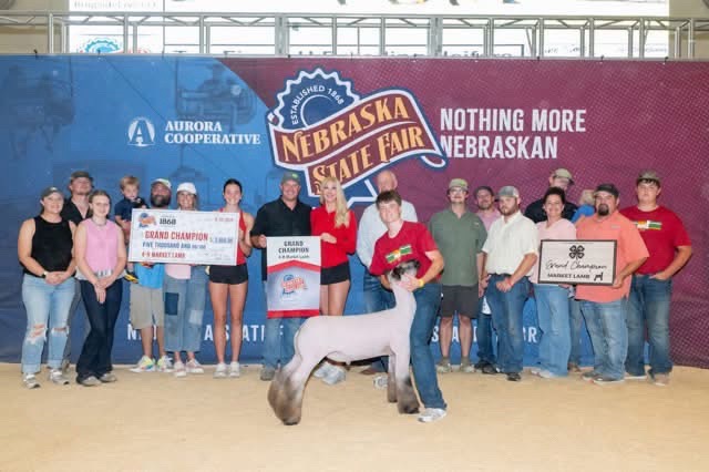 @Matt Lautner Cattle USA