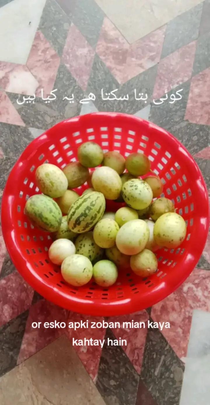 @khanewall ki TikToker😎😎
