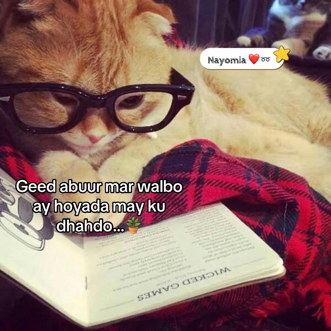 @➰ᑎᗩYOᗰIᗩ🐾🪻